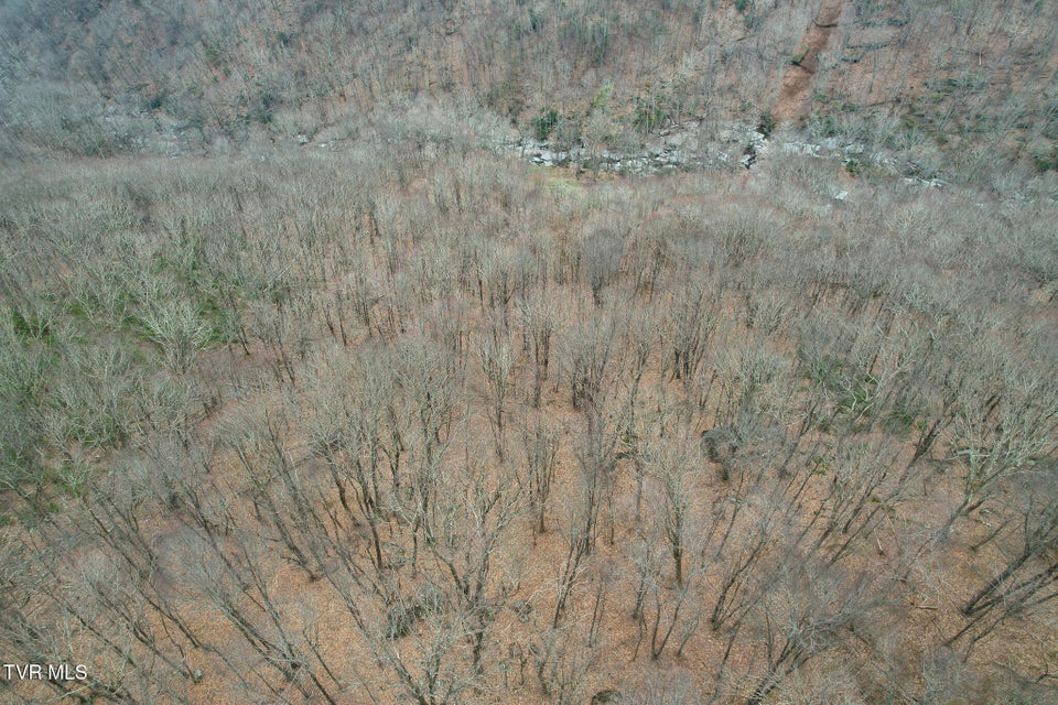 Photo #16: 1105 Briar Run Lane