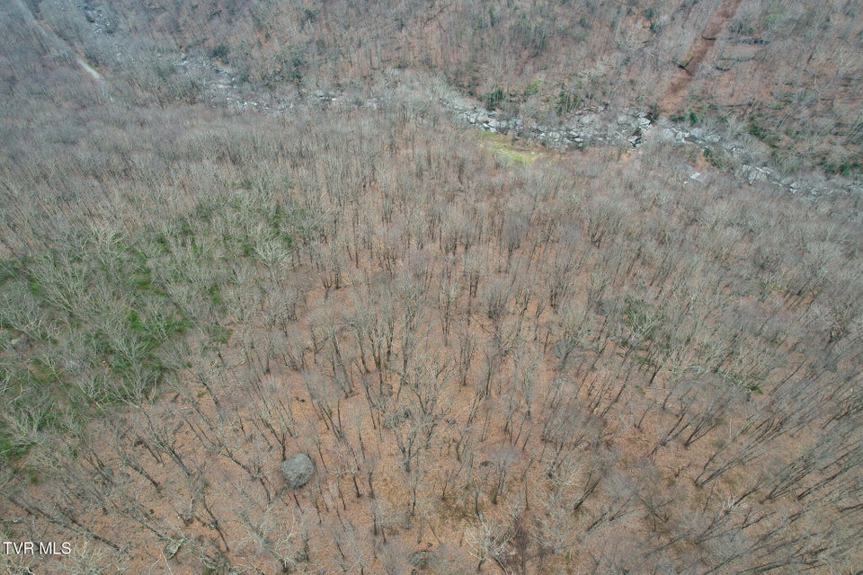 Photo #17: 1105 Briar Run Lane