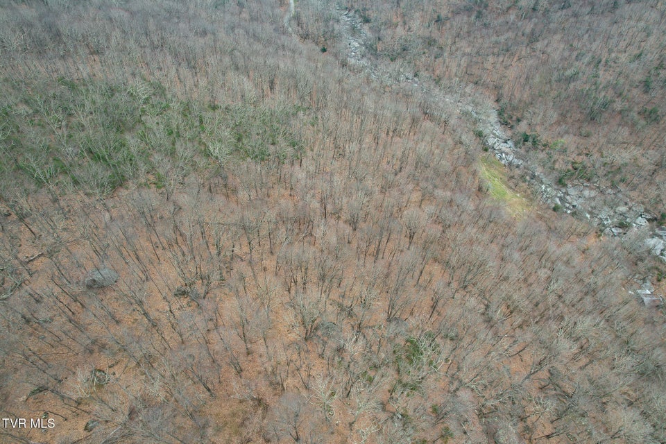 Photo #18: 1105 Briar Run Lane