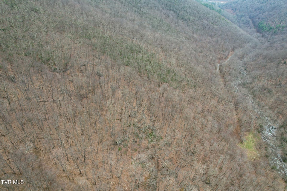 Photo #19: 1105 Briar Run Lane