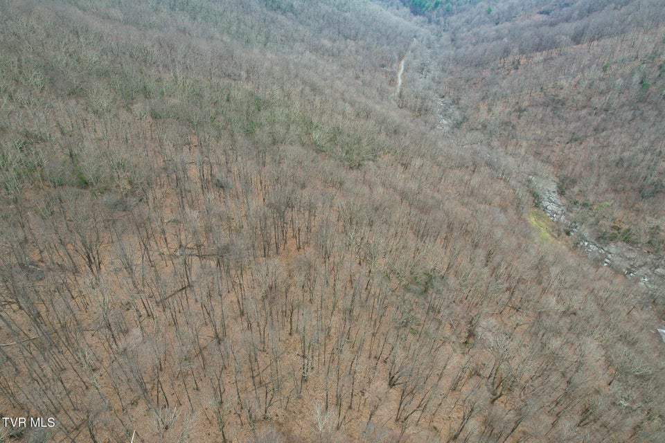 Photo #20: 1105 Briar Run Lane