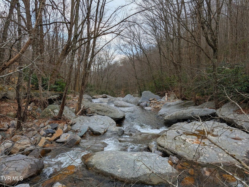 Photo #2: 1105 Briar Run Lane