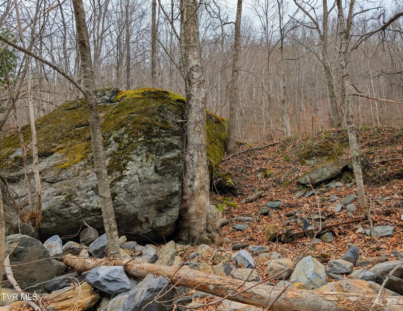 Photo #3: 1105 Briar Run Lane