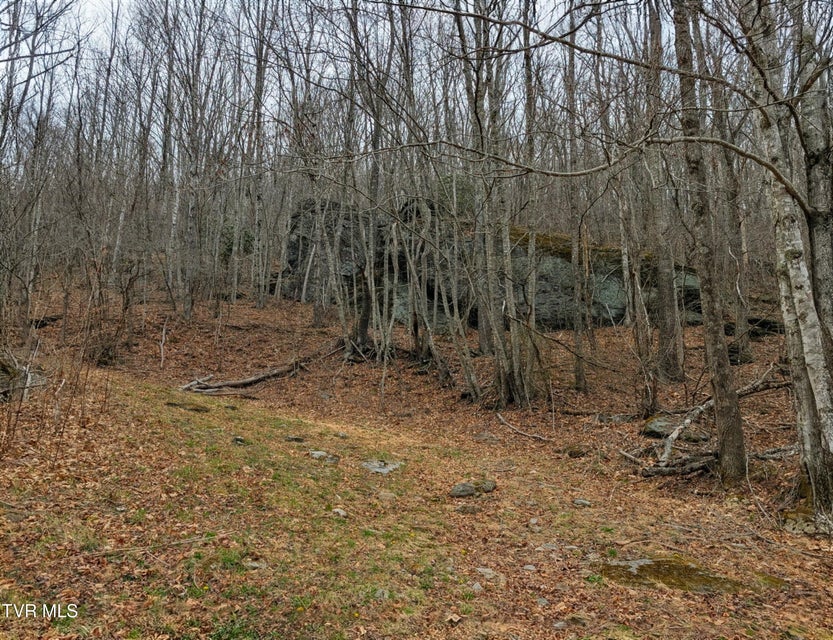 Photo #6: 1105 Briar Run Lane