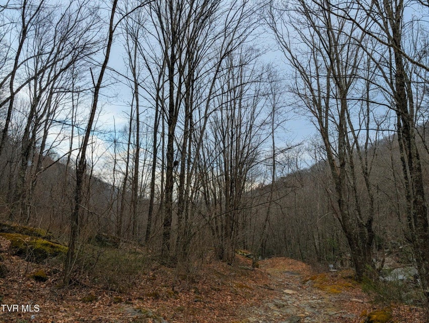 Photo #4: 1105 Briar Run Lane