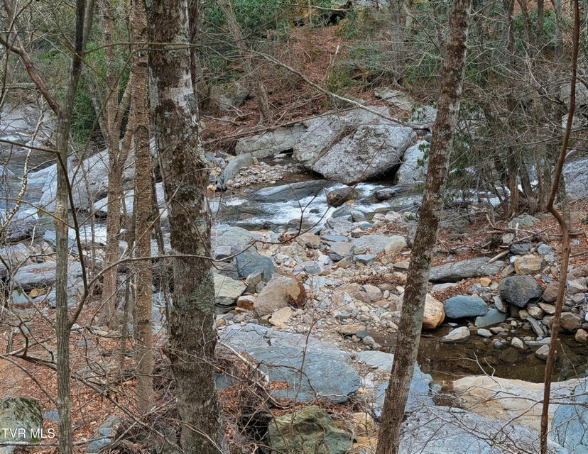 Photo #5: 1105 Briar Run Lane