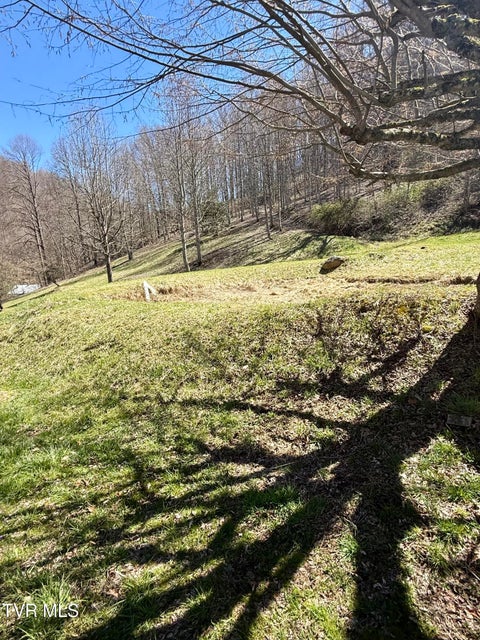 Photo #8: 111 Doty Road