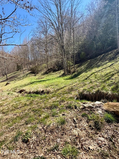 Photo #10: 111 Doty Road