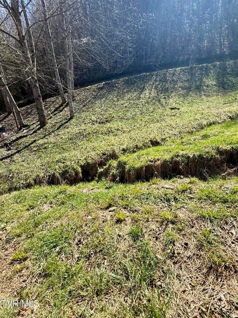 Photo #13: 111 Doty Road