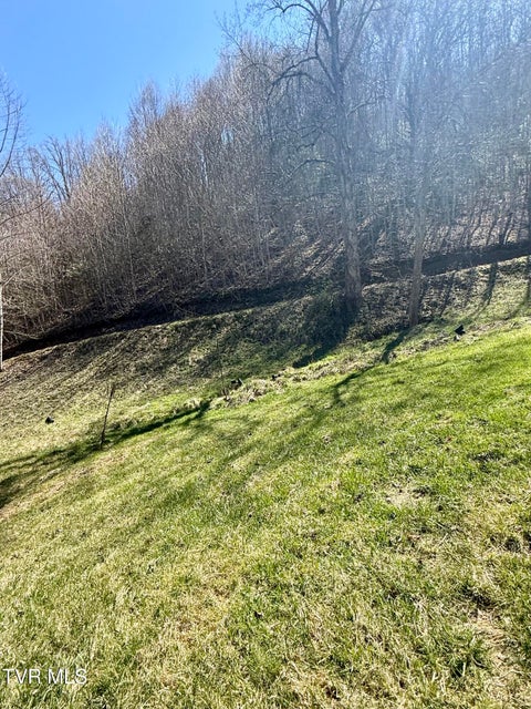 Photo #14: 111 Doty Road