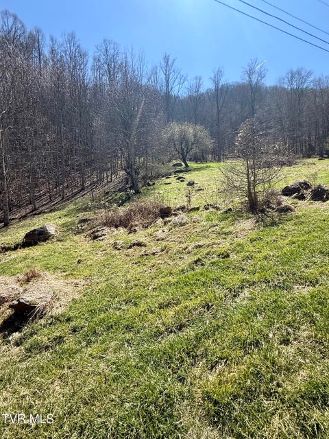 Photo #17: 111 Doty Road