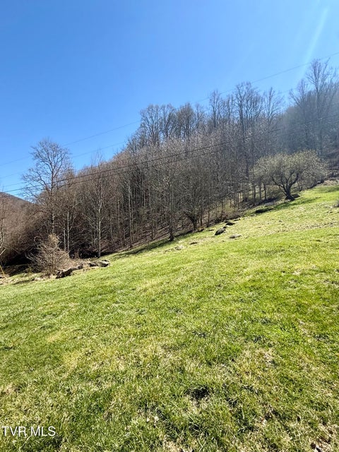 Photo #20: 111 Doty Road