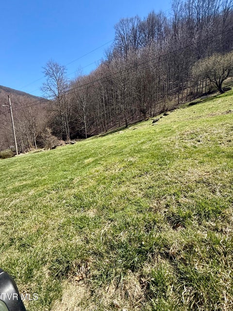 Photo #21: 111 Doty Road