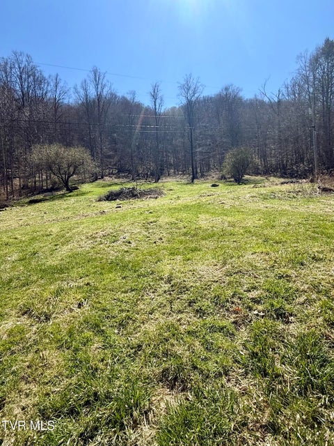 Photo #22: 111 Doty Road