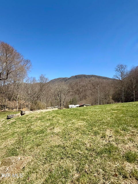 Photo #23: 111 Doty Road