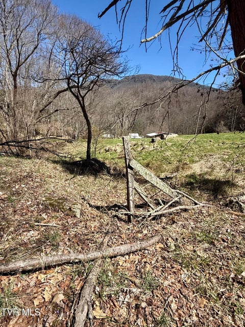 Photo #24: 111 Doty Road