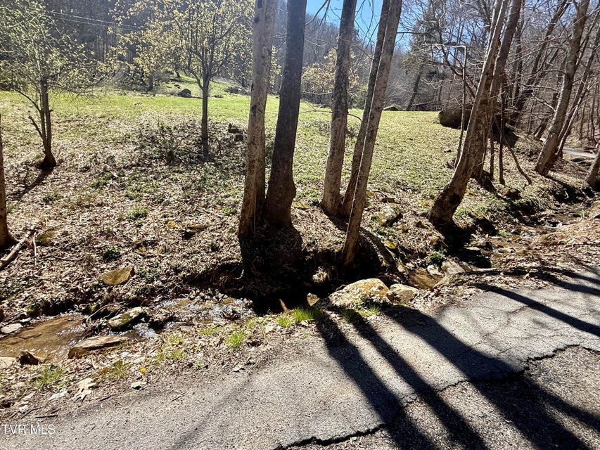 Photo #25: 111 Doty Road