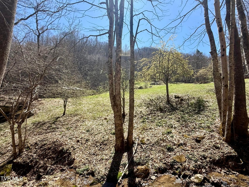 Photo #26: 111 Doty Road