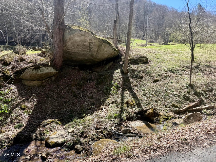 Photo #27: 111 Doty Road