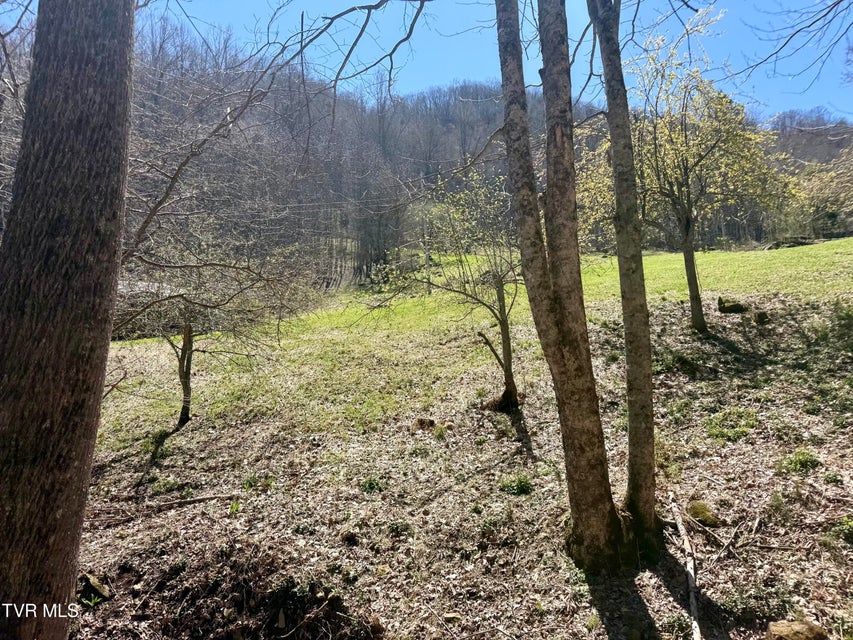 Photo #28: 111 Doty Road