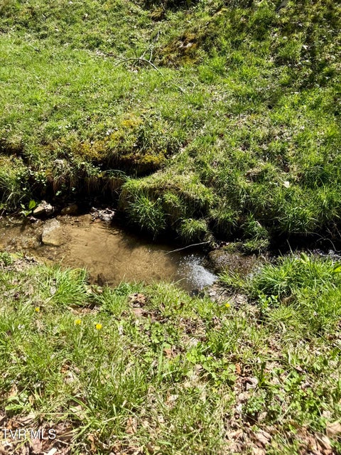 Photo #29: 111 Doty Road