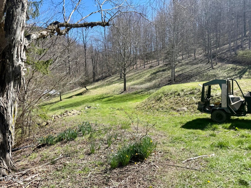 Photo #33: 111 Doty Road