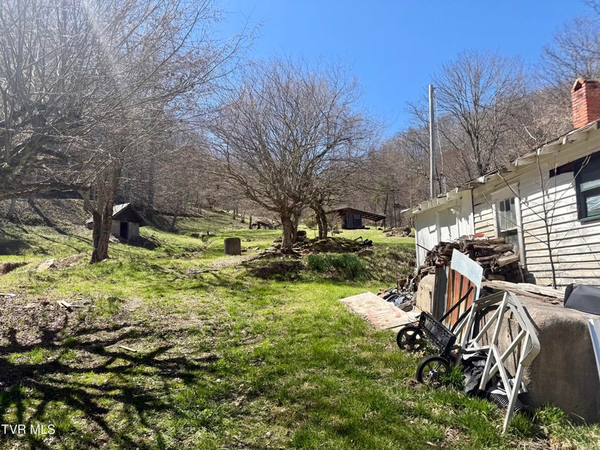 Photo #34: 111 Doty Road