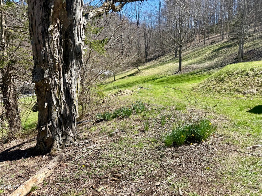 Photo #35: 111 Doty Road