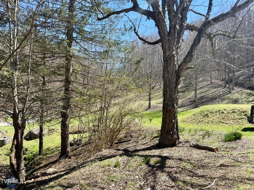 Photo #39: 111 Doty Road