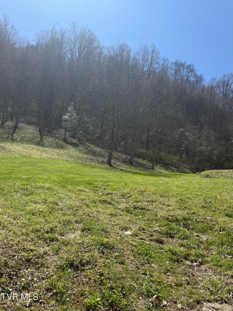 Photo #7: 111 Doty Road