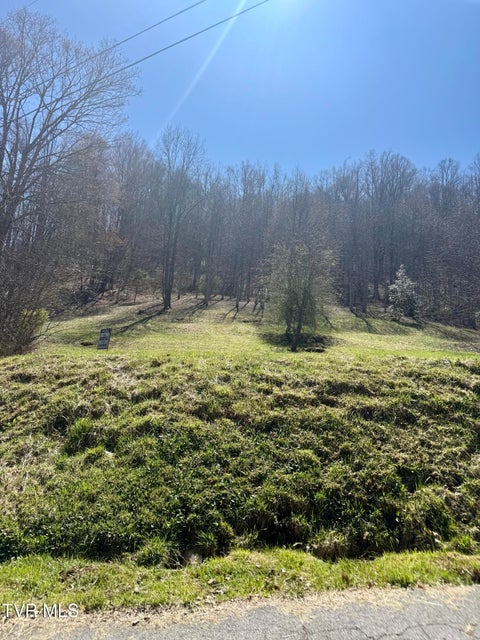 Photo #42: 111 Doty Road