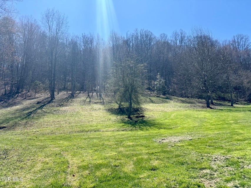 Photo #47: 111 Doty Road