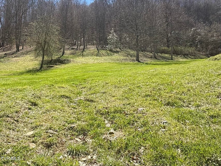 Photo #48: 111 Doty Road