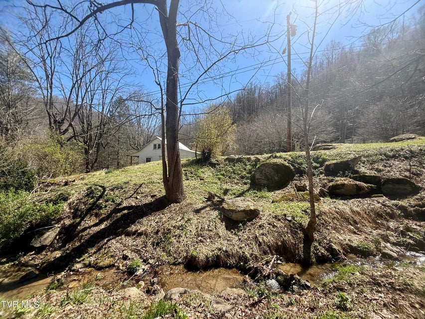 Photo #52: 111 Doty Road