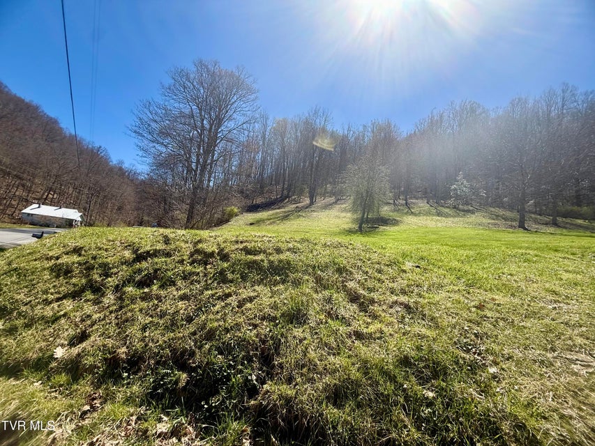 Photo #55: 111 Doty Road