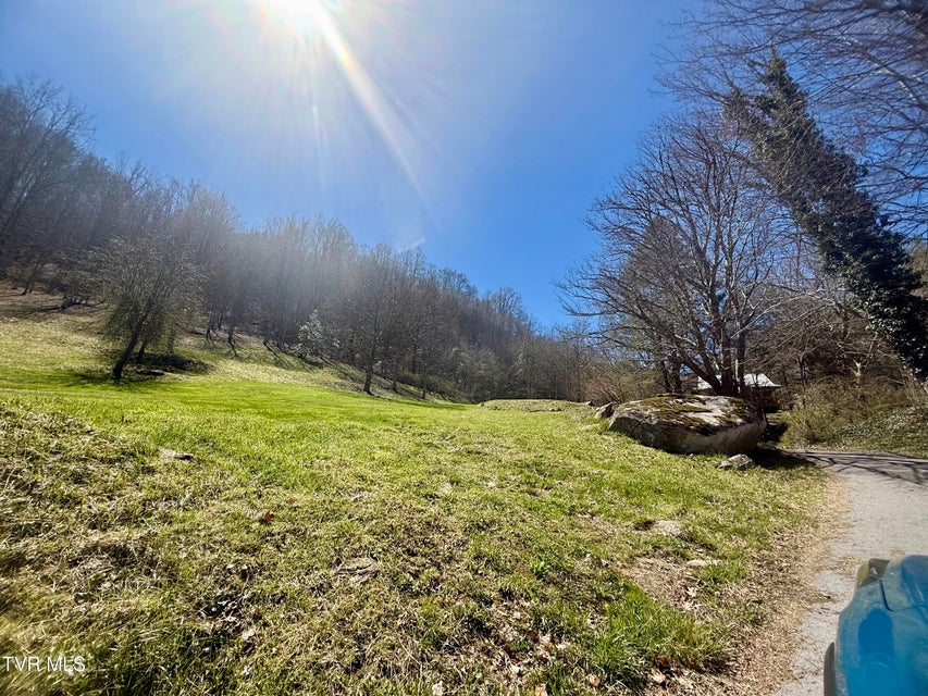 Photo #56: 111 Doty Road