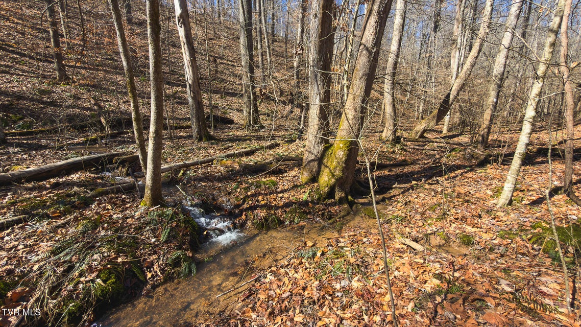 Photo #13: 179 Sutton Hollow Road