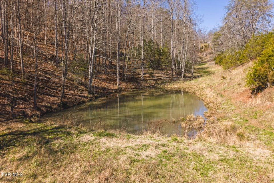 Photo #27: 179 Sutton Hollow Road