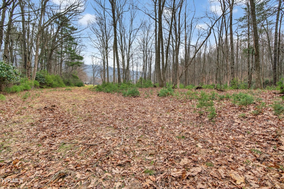 Photo #47: 329 Mill Creek Road