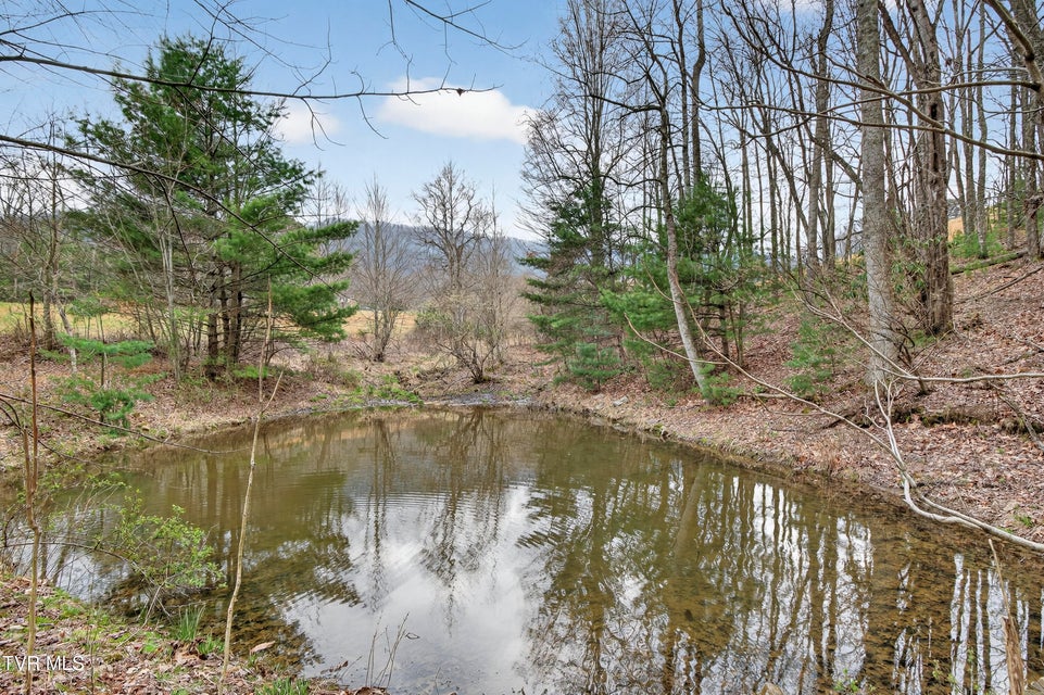 Photo #48: 329 Mill Creek Road