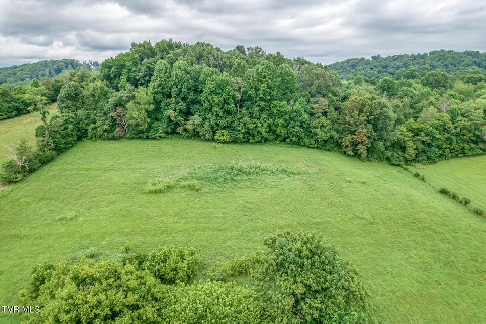 Photo #11: 1005 & 1009 Island Road