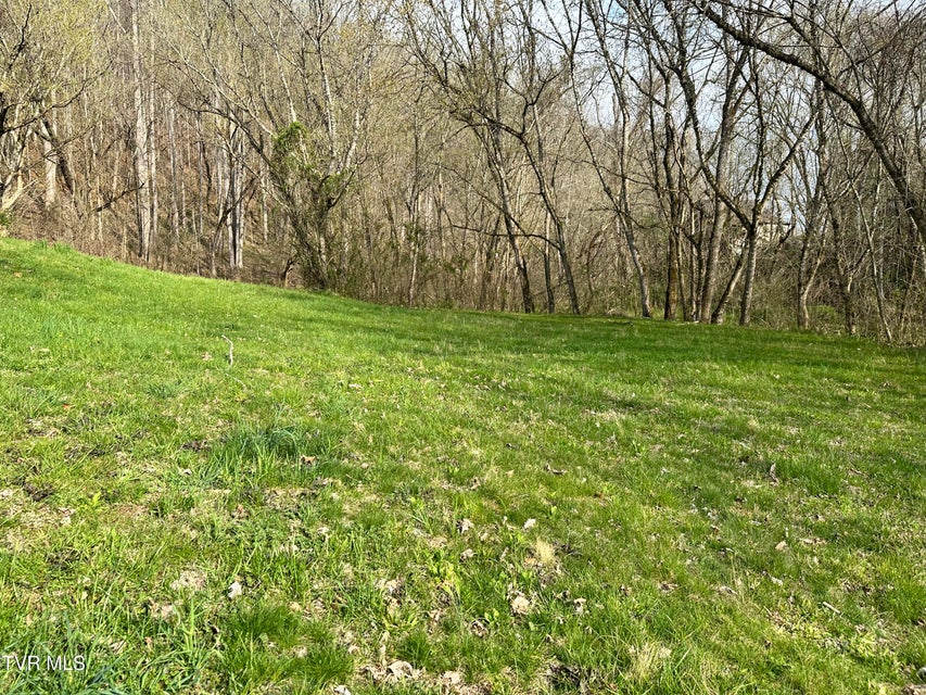 Photo #23: 702 Speedwell Road