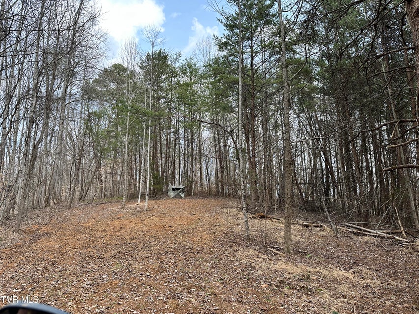 Photo #25: 702 Speedwell Road