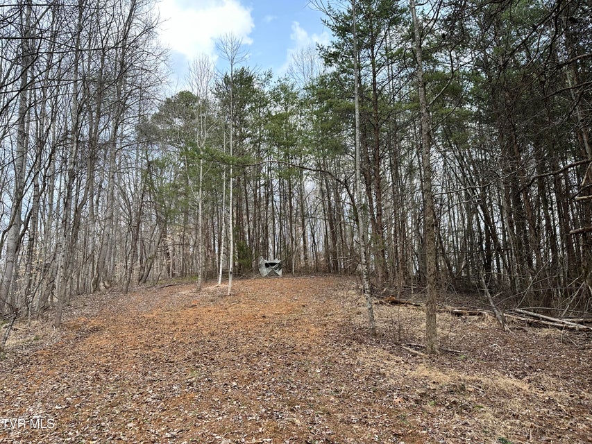 Photo #27: 702 Speedwell Road