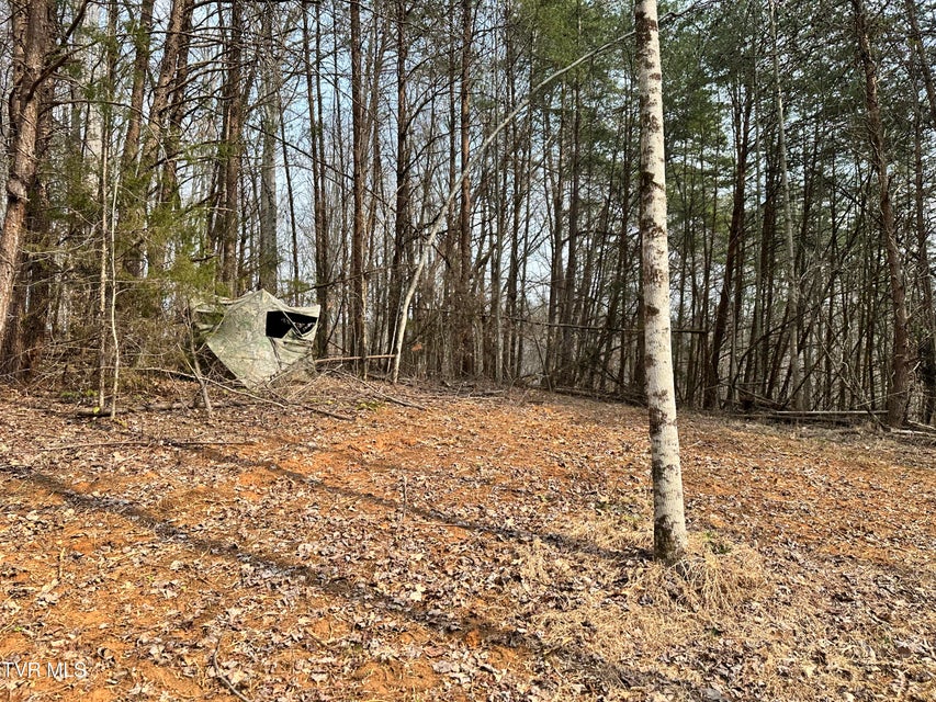 Photo #29: 702 Speedwell Road