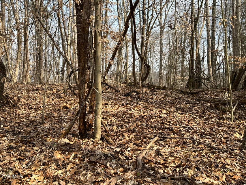 Photo #31: 702 Speedwell Road