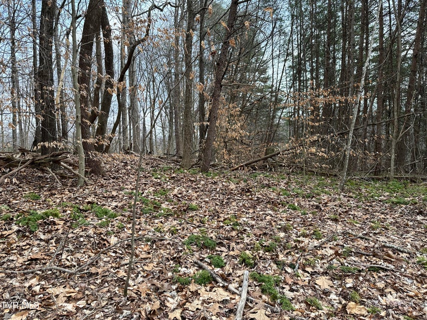 Photo #32: 702 Speedwell Road