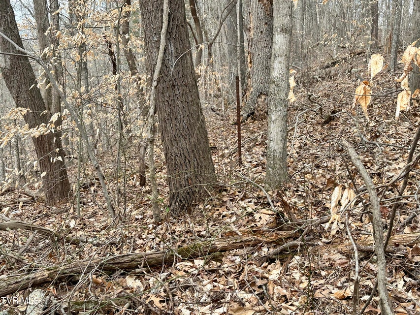 Photo #33: 702 Speedwell Road