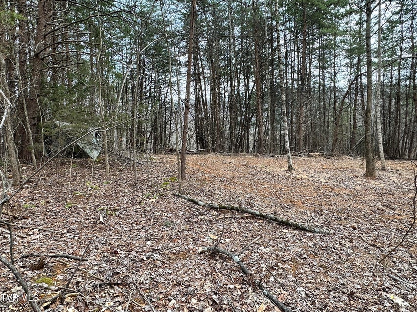 Photo #34: 702 Speedwell Road