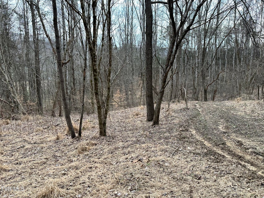 Photo #36: 702 Speedwell Road